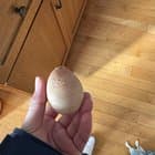 What in the world is wrong with this egg?