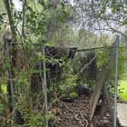 Never had a chicken before. Going to repurpose this dog pen and build a coop inside with nesting boxes and hope for the best. Yes I have raccoons and bobcats and other animals in the area!