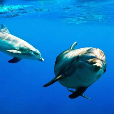 Perks of Traveling to Kauai in the Winter